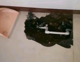 房县卫生间测漏水多少钱
